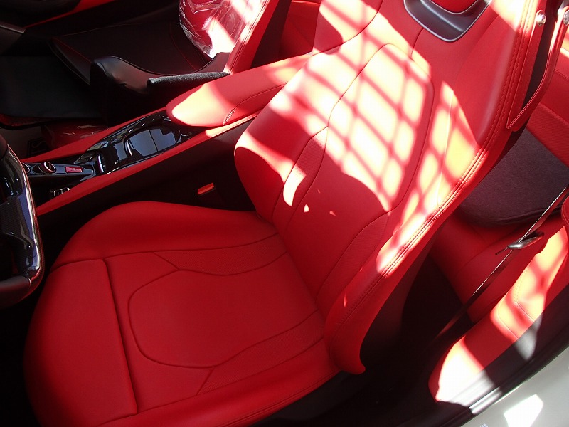 Ferrari Portofino leather seat