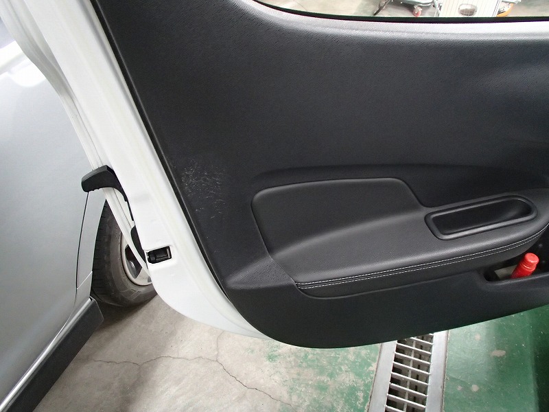 Renault Wind damaged door trim 01
